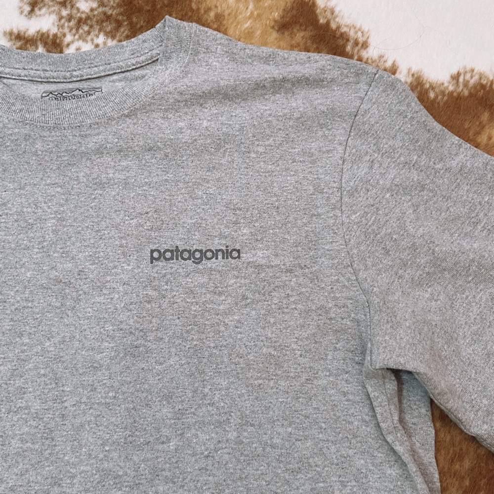 PATAGONIA NWOT t shirt